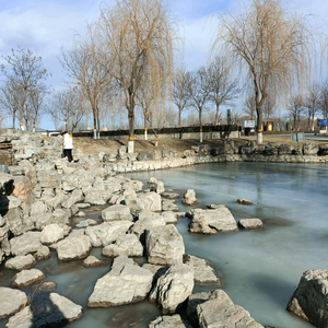 昨日已随风去 头像