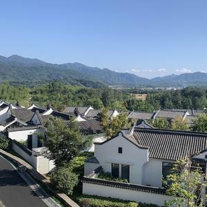 仲夏夜2019 头像