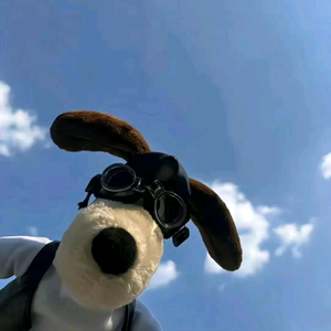 济南宽崽儿 头像