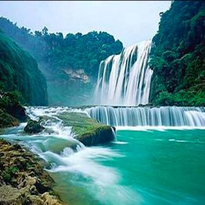 小楠视野发现 头像