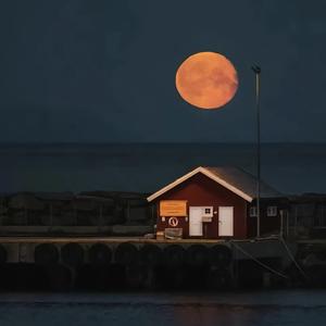 烟火里的尘埃 头像