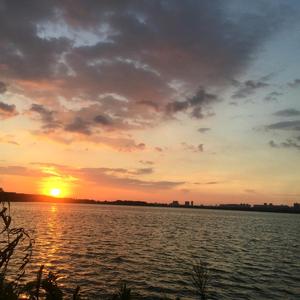 江渚一蓑翁 头像