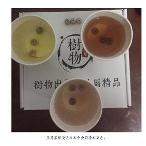 树物文玩头像