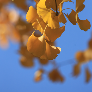 科技家居圈 头像