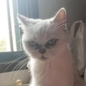 余生对得起自己 头像