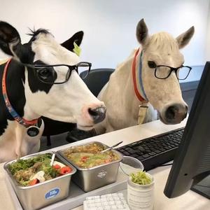 。。。。。。。 头像