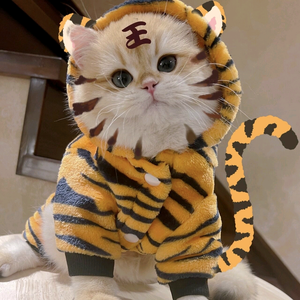 来看广告吧 头像