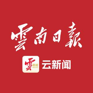 云新闻(云南日报) 头像