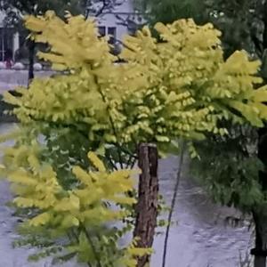 耕云钓月