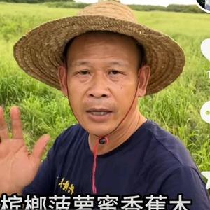 萍顺农业头像