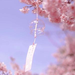 希希要读书