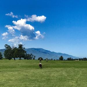 七月流火69 头像