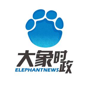 大象时政 头像