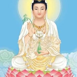 知错能改善莫大焉a