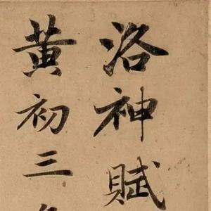 青山老骥