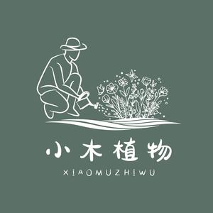 小木植物 头像