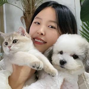 小萍的猫鼠头像