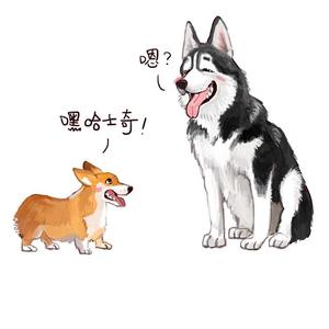 烤鱼哈士奇 头像