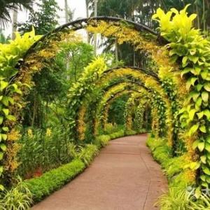 知识小百科 头像