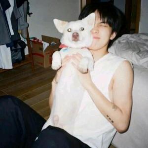 途乐洛克王国 头像