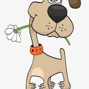 土狗的恋爱日记 头像