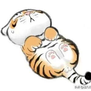 光芒3j2Y 头像