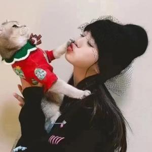 金刚垂耳兔迅儿 头像