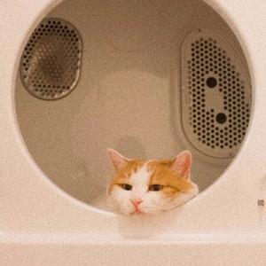 进取宇宙6q6 头像