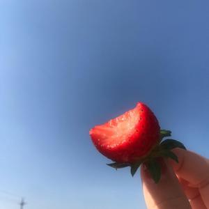 是阿慧呀🌼 头像