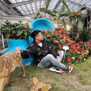 梦承轩🐬 头像