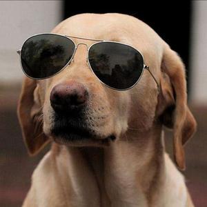 解答世间万物 头像