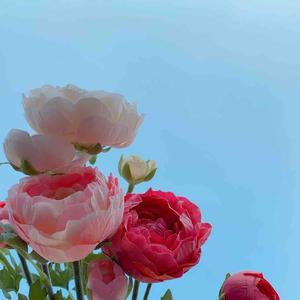 持之以恒写书 头像