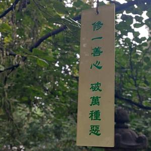 汤姆咘哩堡 头像