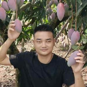 海南小朱水果之乡 头像