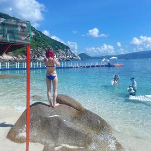 爱旅行的桃源先生（图文版） 头像