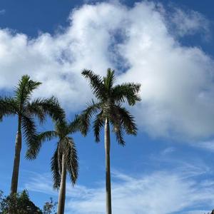 当代史飙车 头像