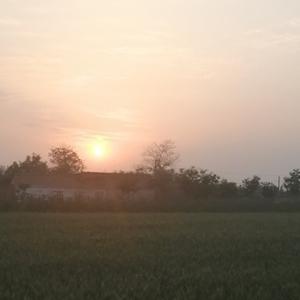 麦田J10
