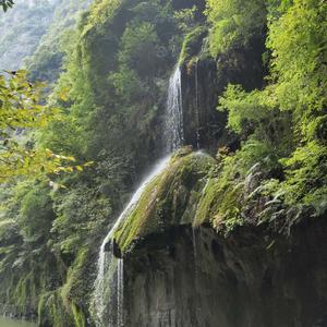 聪明的叶子r 头像