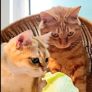 漫步余生安好 头像