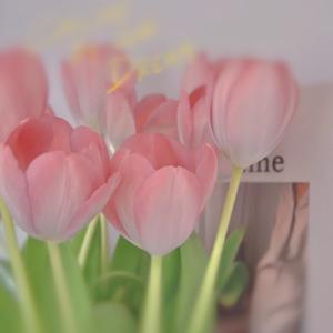 嬞小姐HOLLE 头像