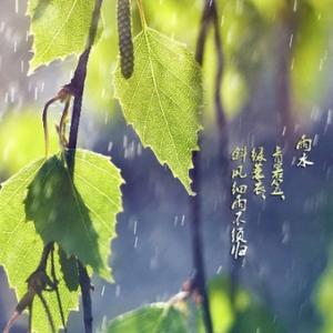 下小雨2018头像