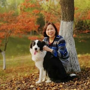 云淡风清行游记 头像