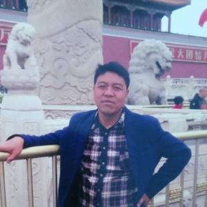 鲁阳居士金阳光 头像