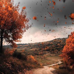 穆圖噗驺scsllIz 头像