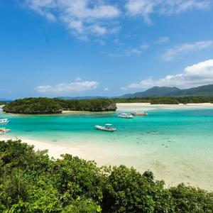 窗前看夕阳余晖 头像