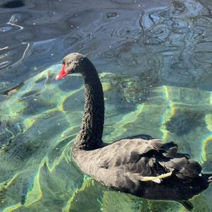 湘香味道世界公园店。 头像