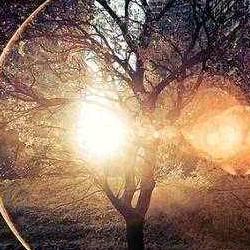 番茄4059828459143838 头像