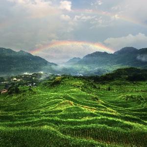 庄里居先生 头像