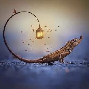 博学多才的铅笔 头像