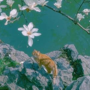 英语口语闲聊社 头像